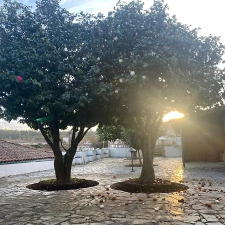 Casa Da Ponte, * Coja