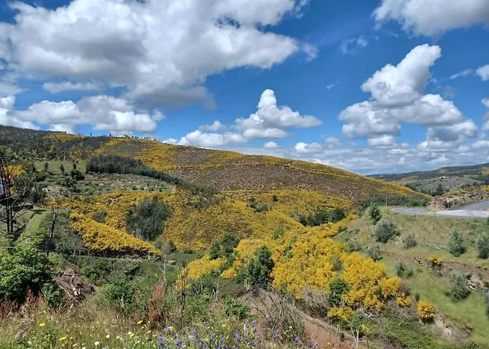 Casa Da Ponte, 3* Coja